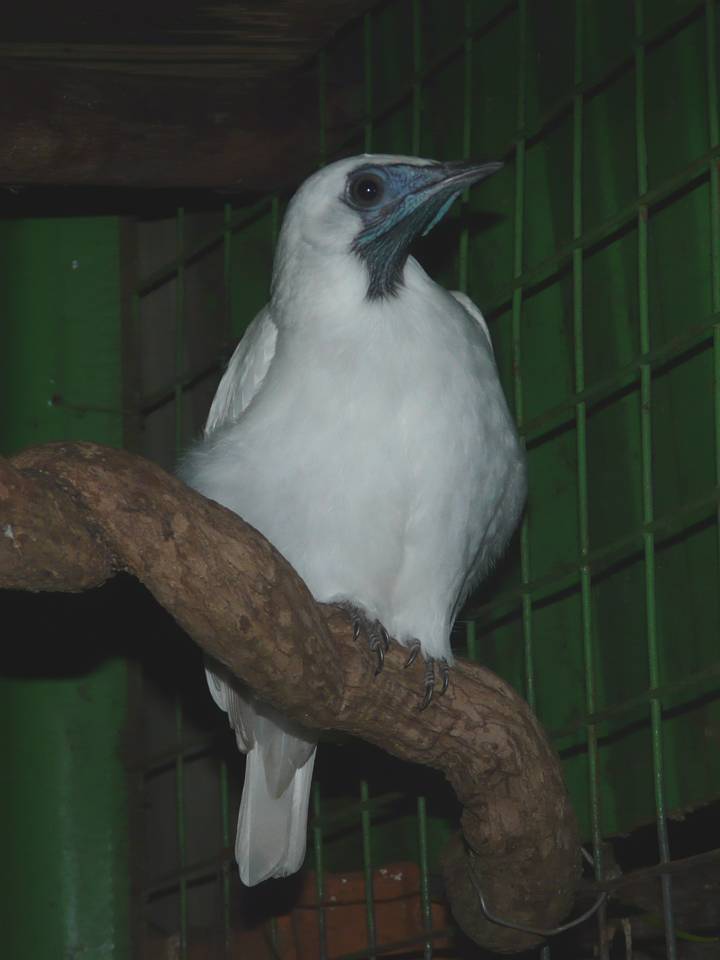 FIGURE 3 FIGURE 3